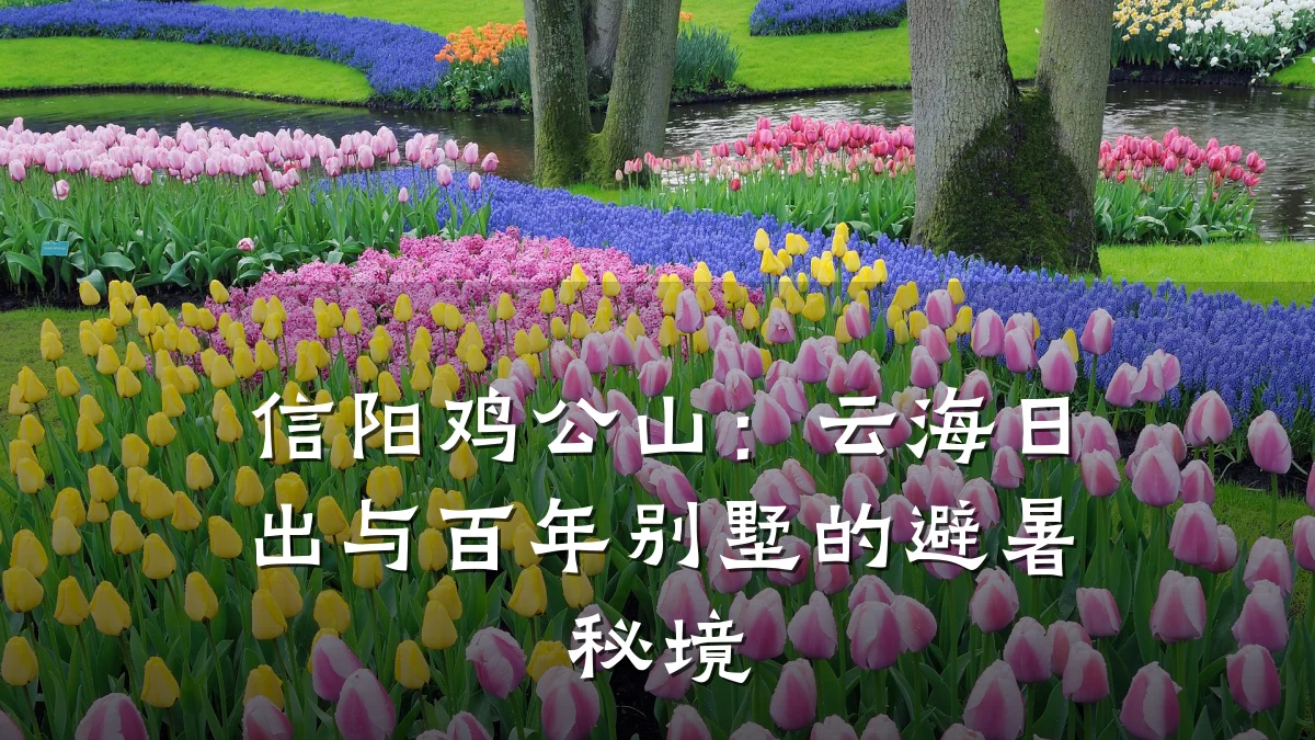 信阳鸡公山：云海日出与百年别墅的避暑秘境
