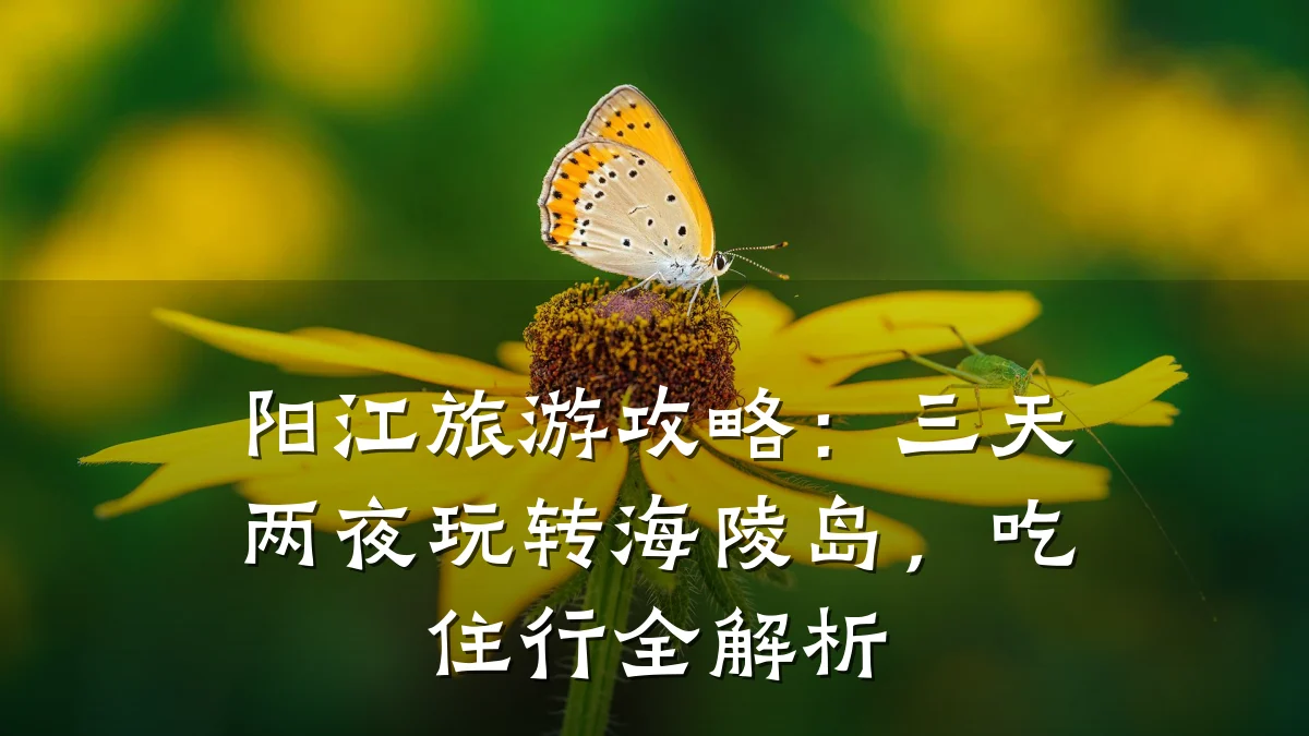 阳江旅游攻略：三天两夜玩转海陵岛，吃住行全解析
