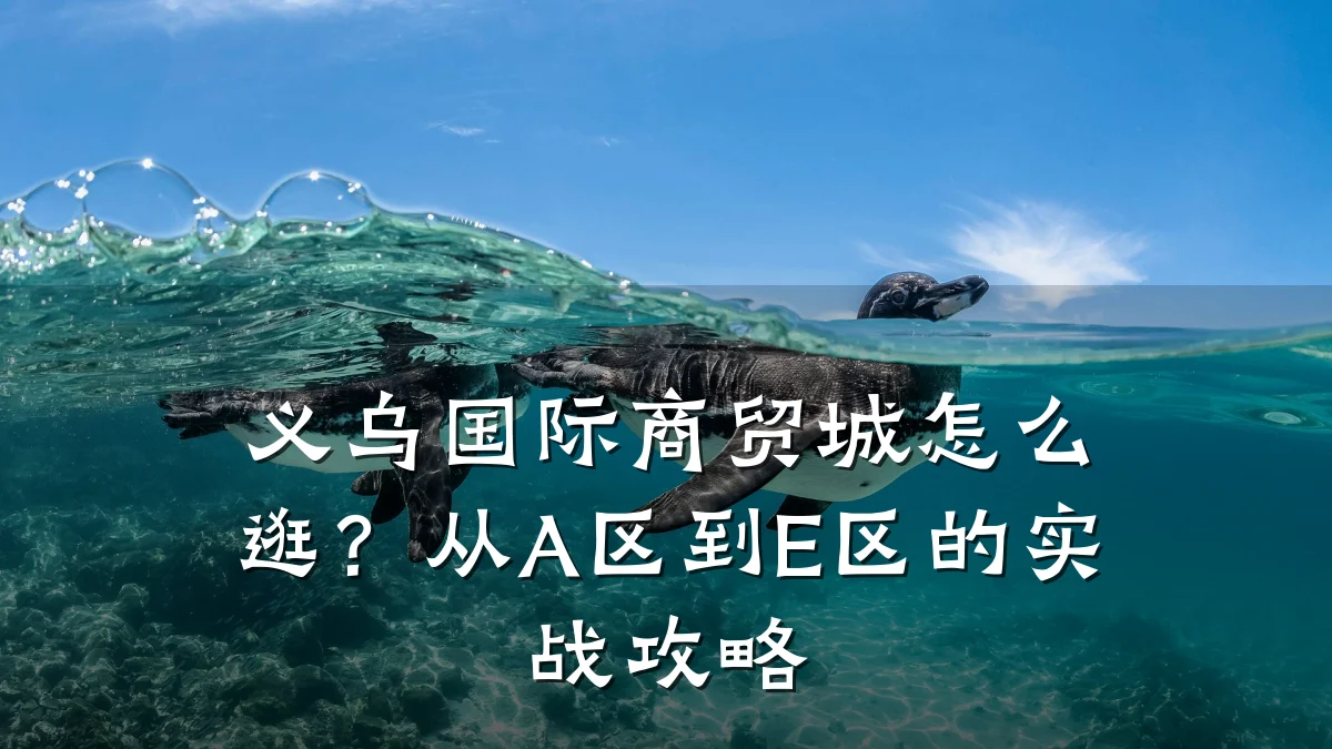 义乌国际商贸城怎么逛？从A区到E区的实战攻略