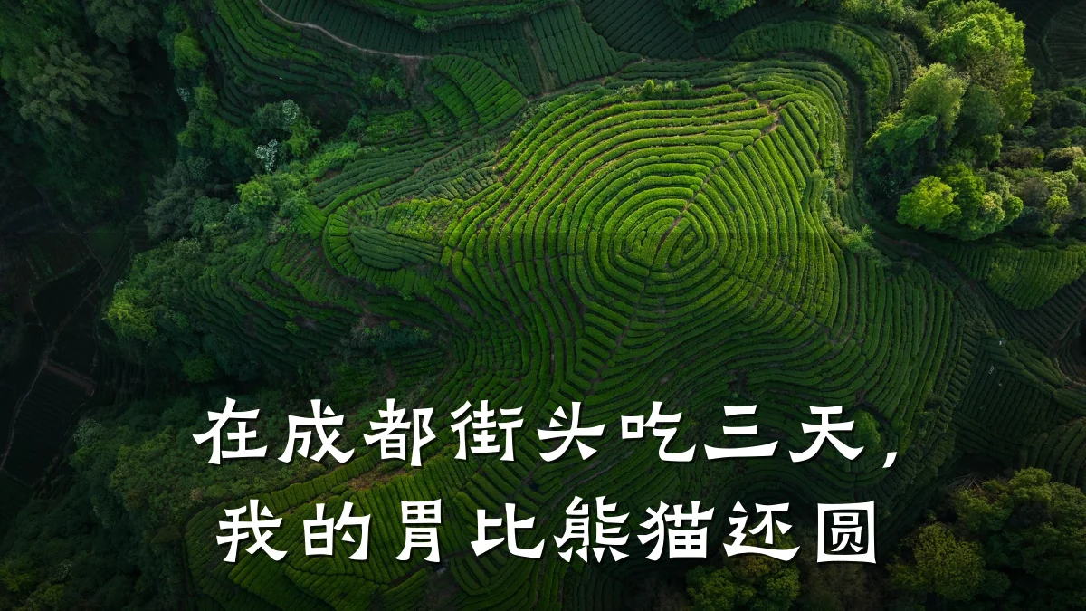 在成都街头吃三天，我的胃比熊猫还圆