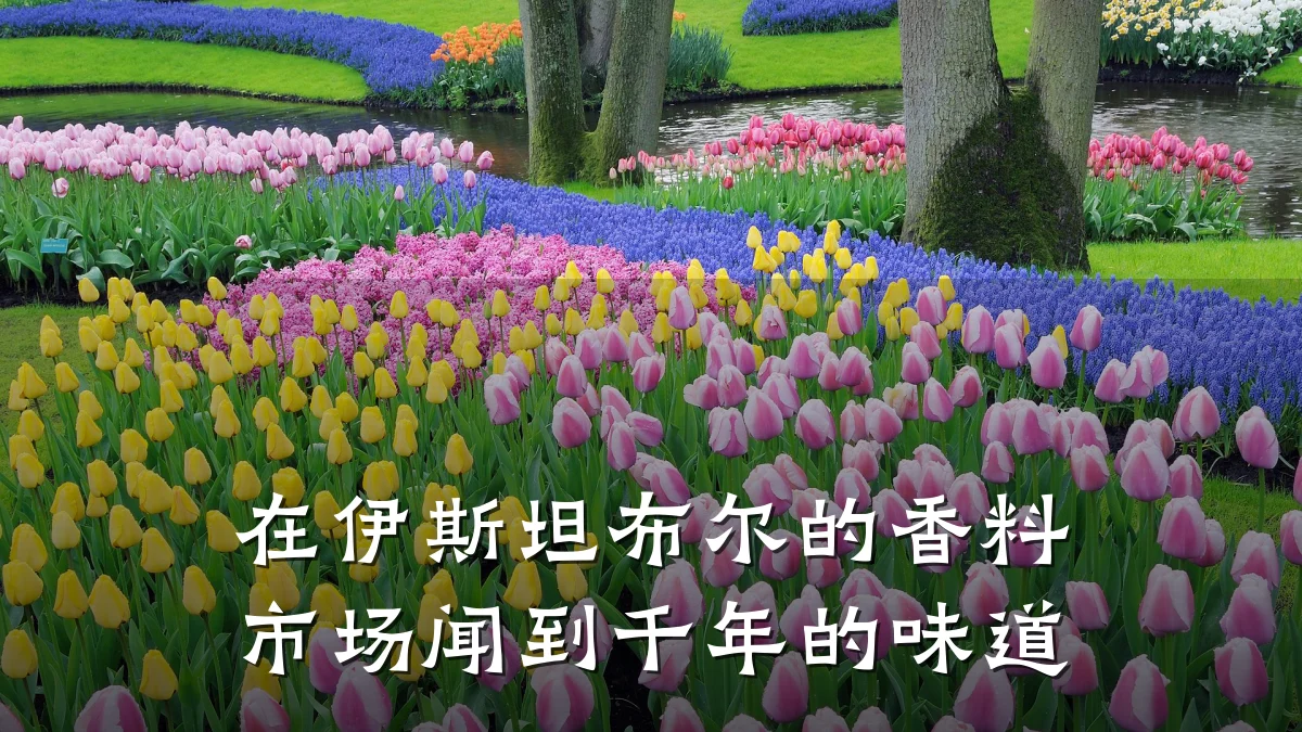 在伊斯坦布尔的香料市场闻到千年的味道
