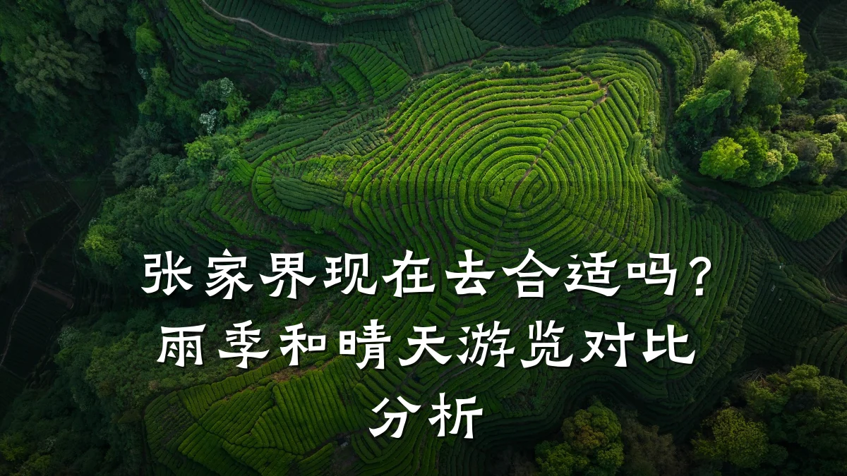 张家界现在去合适吗？雨季和晴天游览对比分析